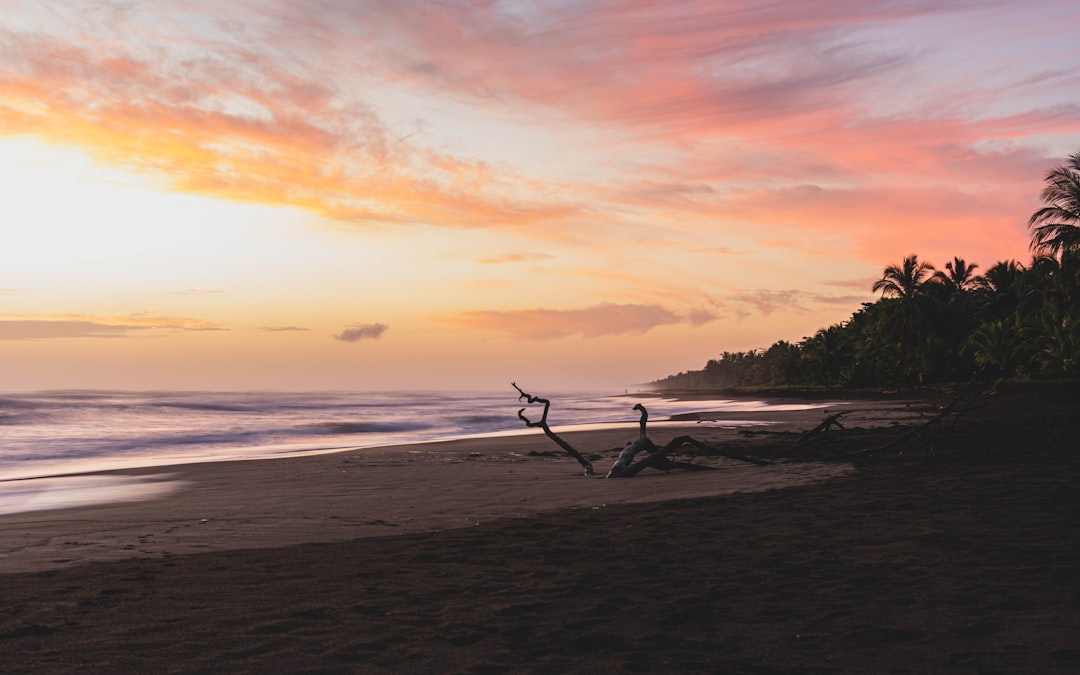 Beach photo spot Tortuguero Costa Rica