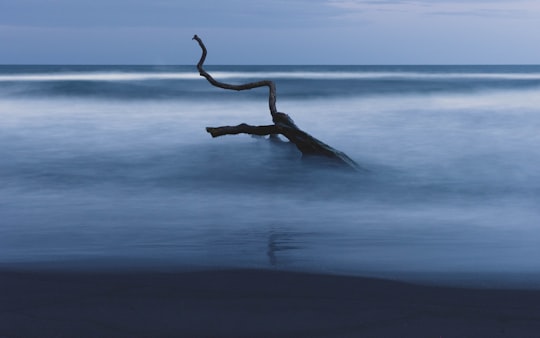picture of Ocean from travel guide of Tortuguero