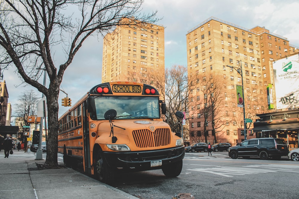 yellow school bus on road near brown bare trees during daytime