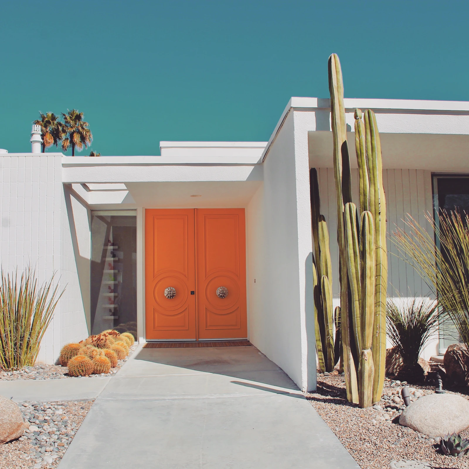A blue door framed by desert plants