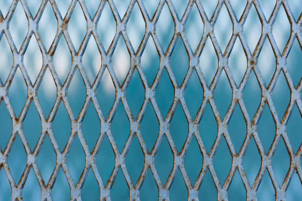 blue and white net in close up photography