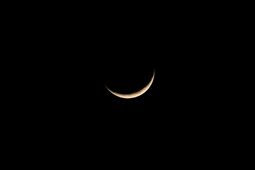white and black crescent moon