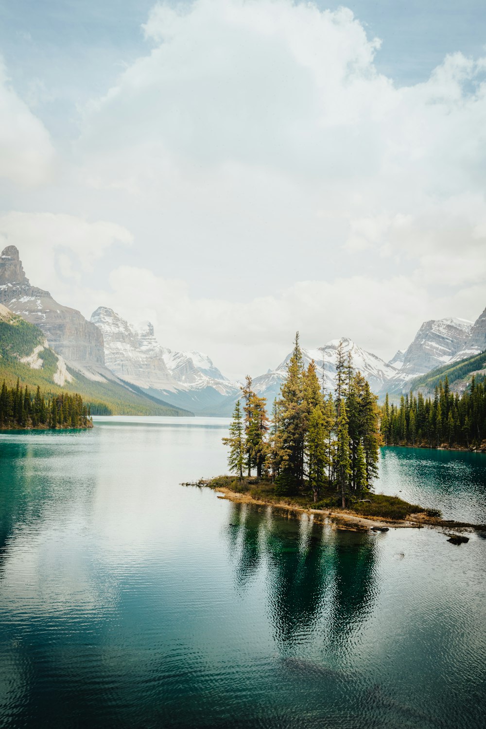 green pine trees near lake and mountains during daytime