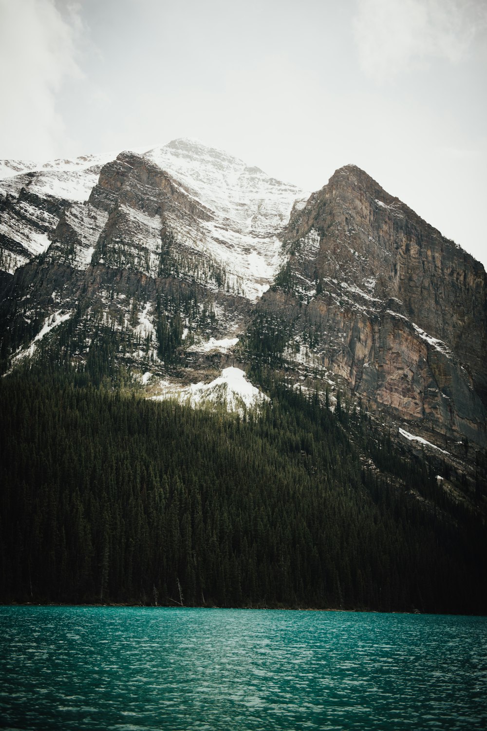 green trees near brown mountain during daytime