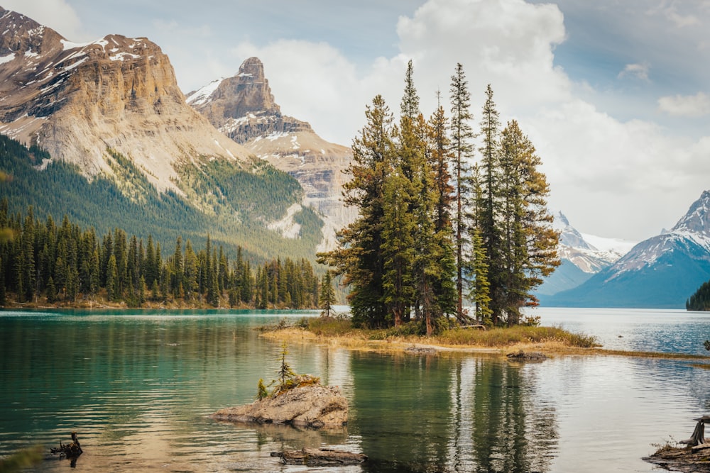 green pine trees near lake and mountain range