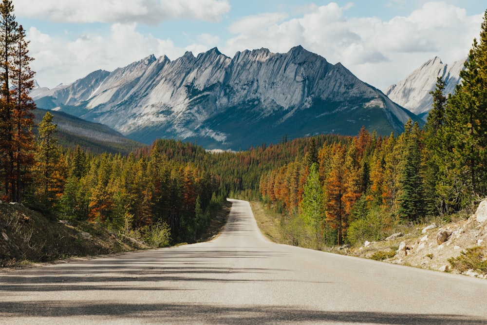 gray concrete road between green trees and mountain during daytime