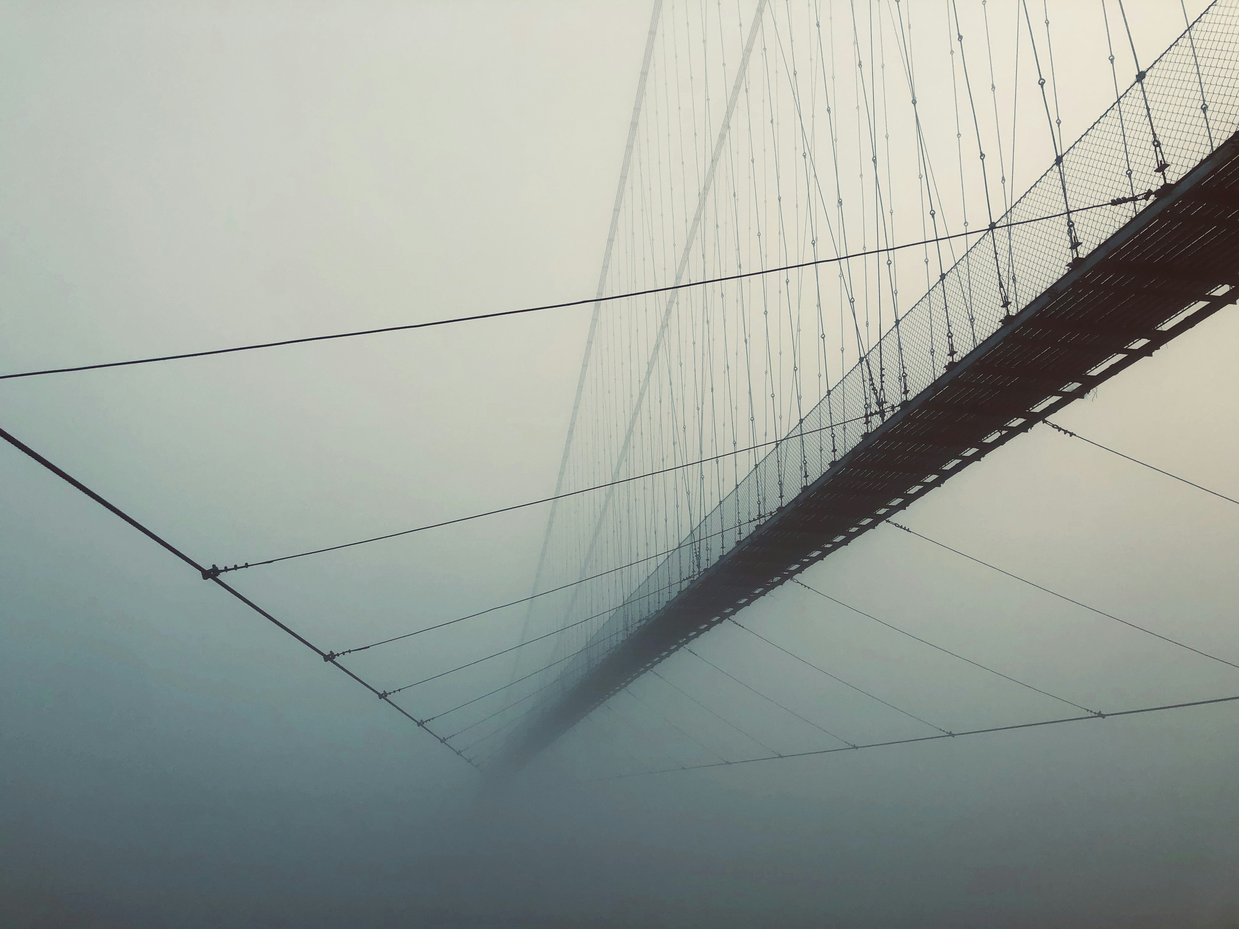 Photo by aalokatreya