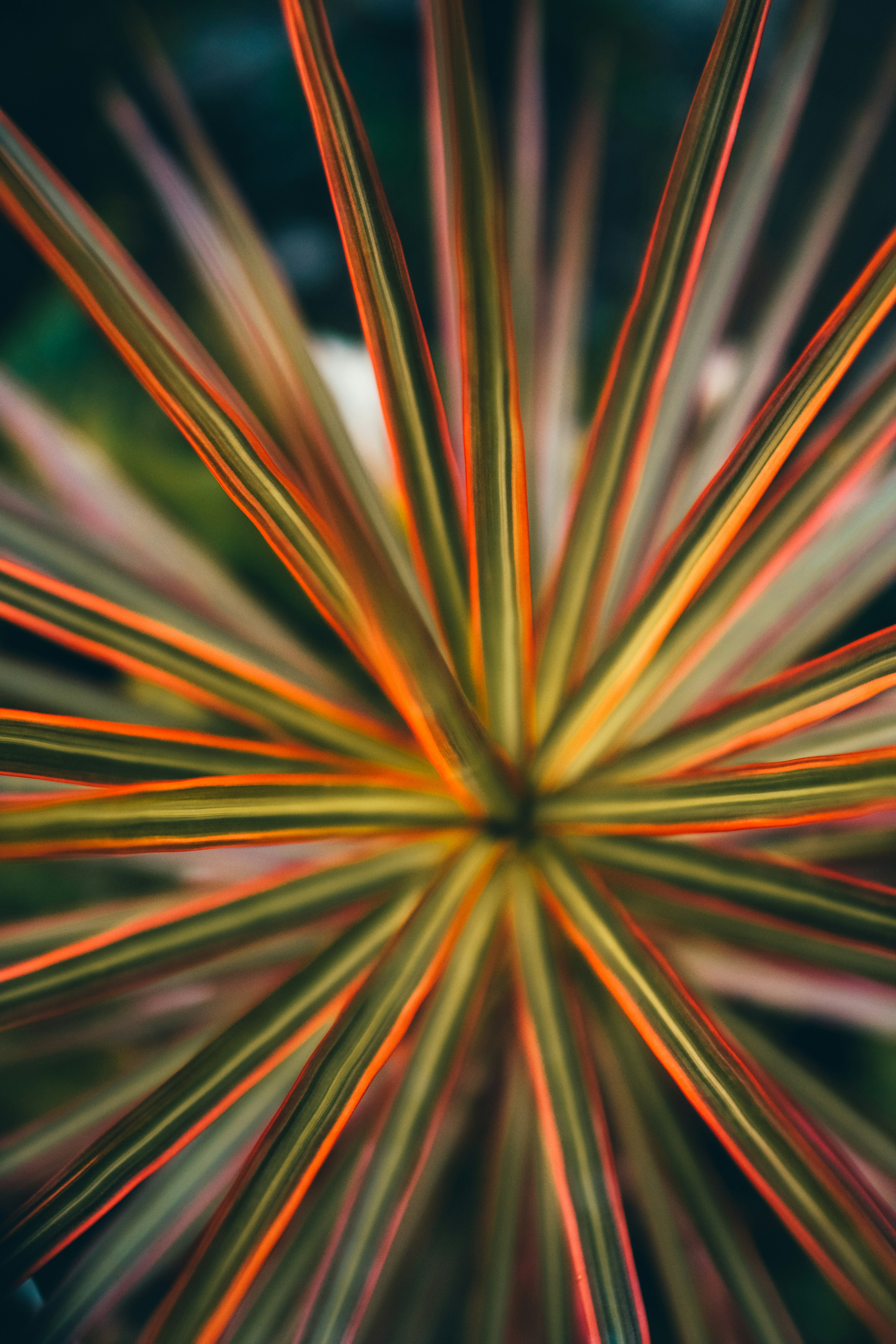 Photo by sherardcampy