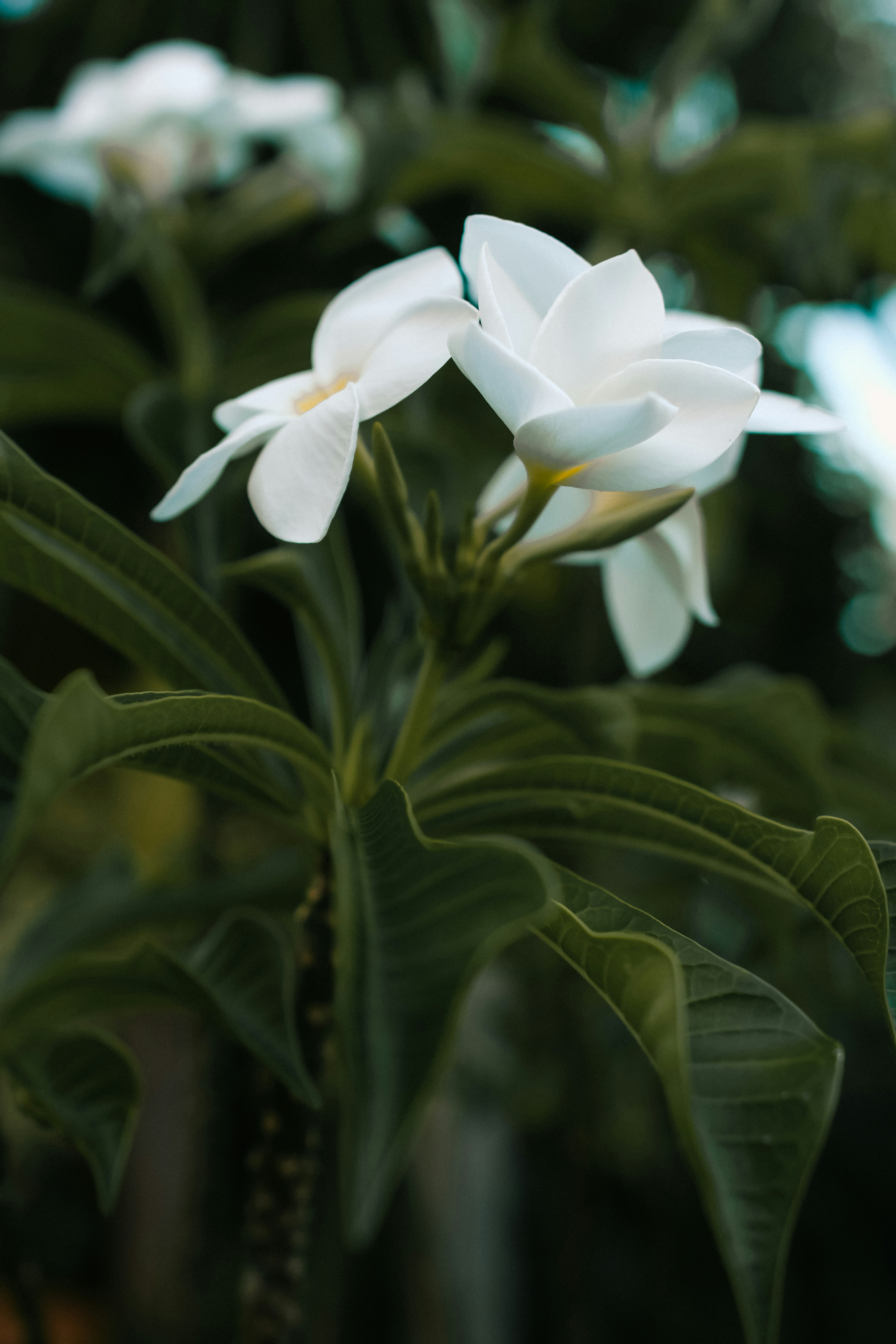 Photo by sherardcampy