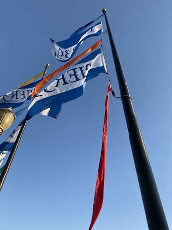 A panoramic view of a political rally with flags waving under a clear sky.