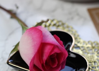 pink rose on gold ring