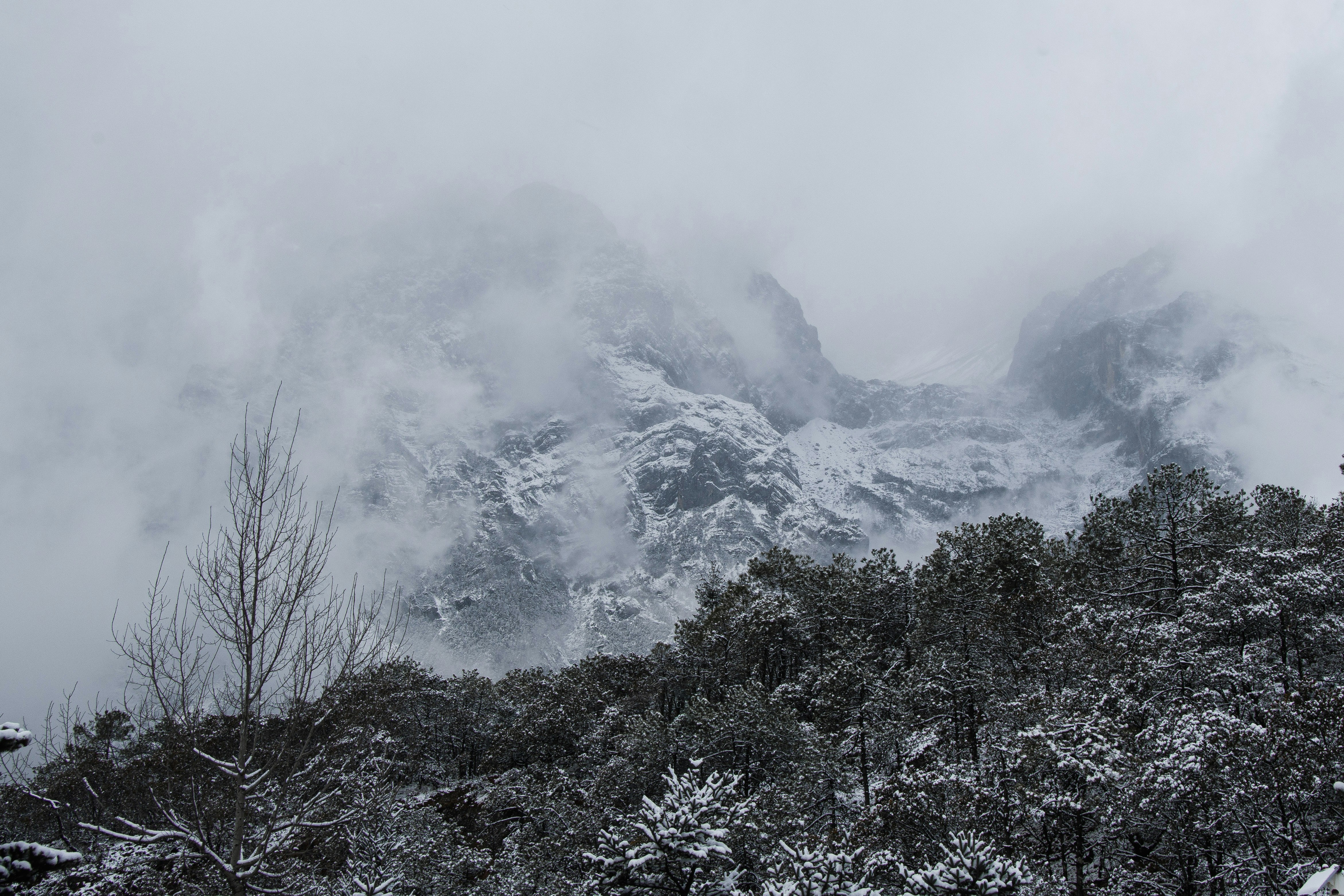 Photo by rayzhou