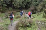 A group of hikers walking through a lush forest trail with backpacks and smiles