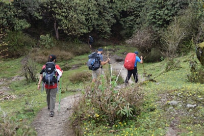 A group of hikers walking through a lush forest trail with backpacks and smiles