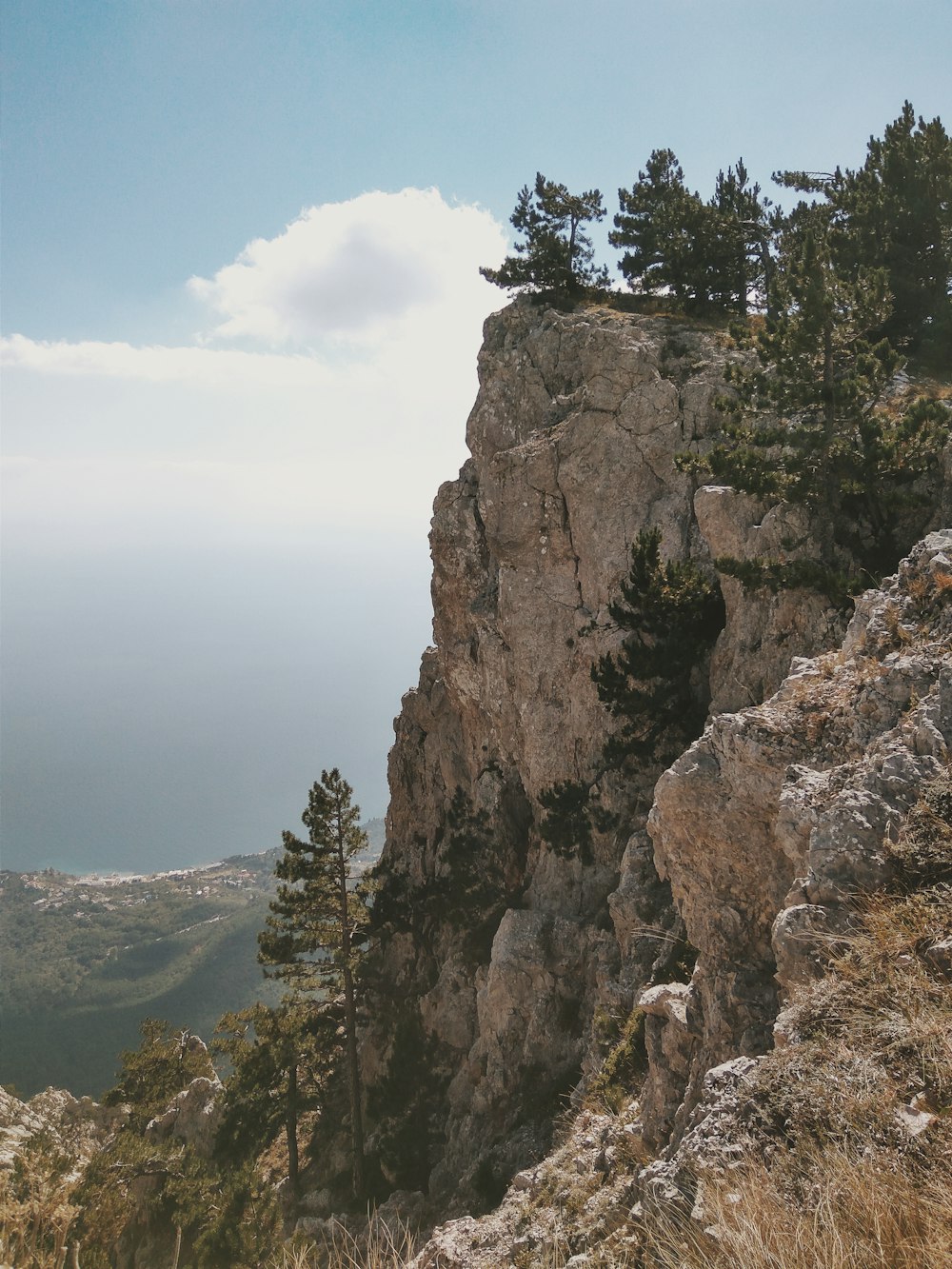 green trees on brown rocky mountain during daytime