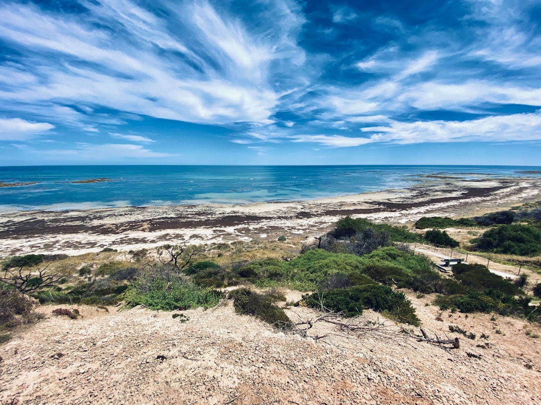 Beach photo spot Aldinga Beach SA Normanville