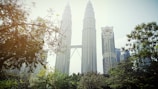 green trees near high rise buildings during daytime