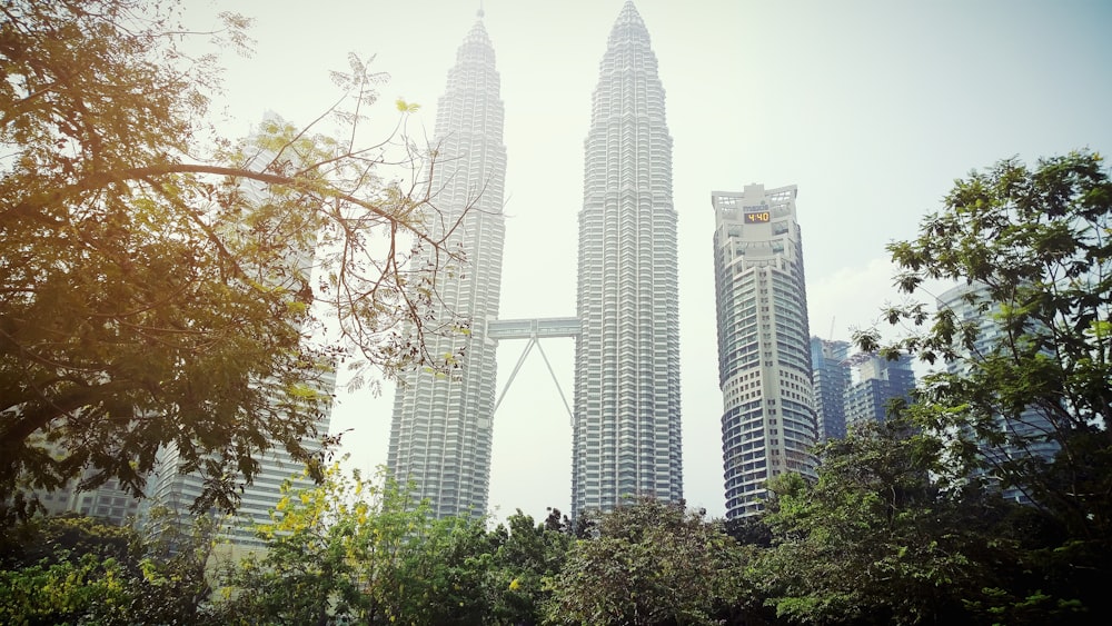 green trees near high rise buildings during daytime