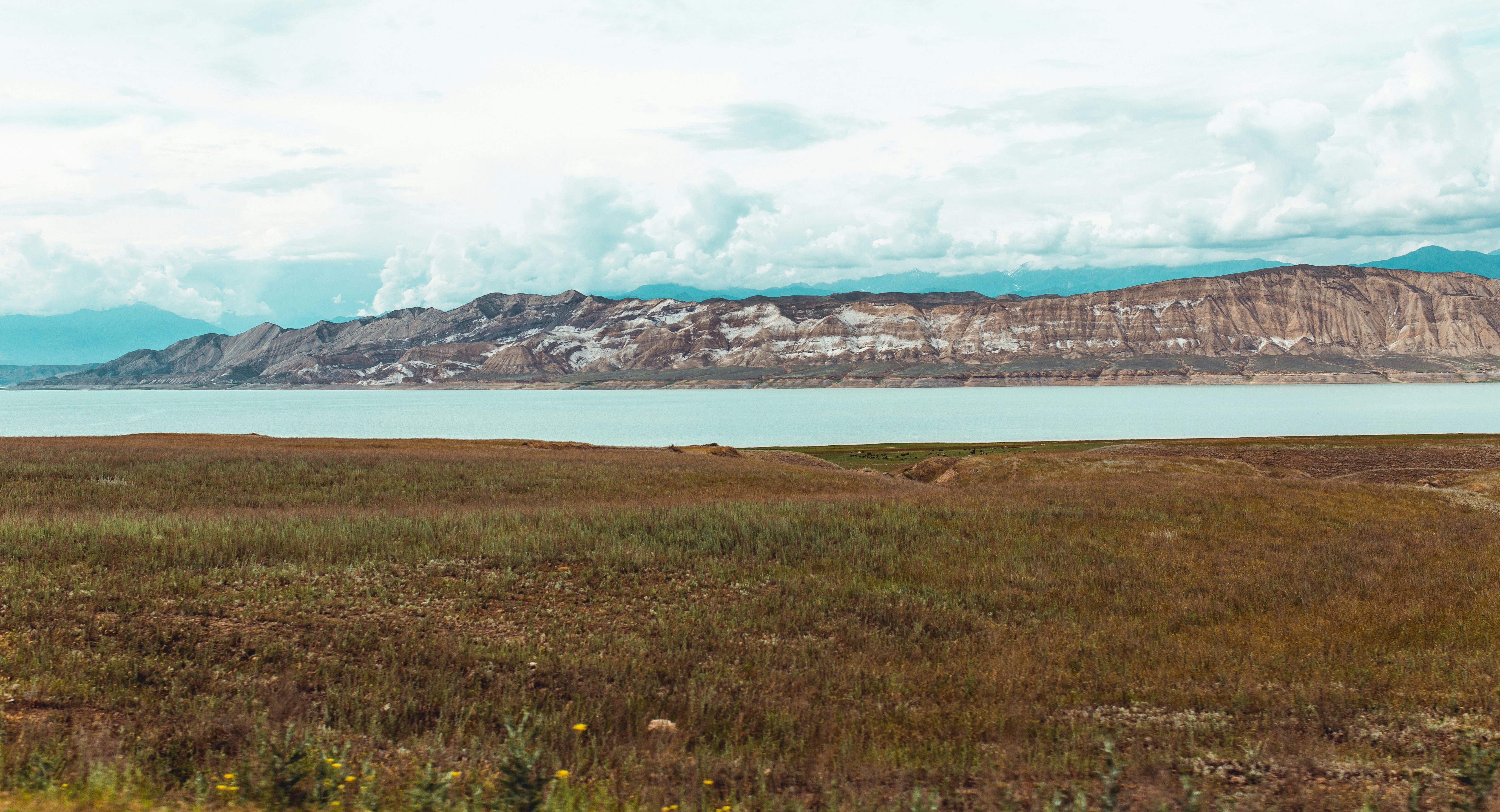 Photo by laurapgevans