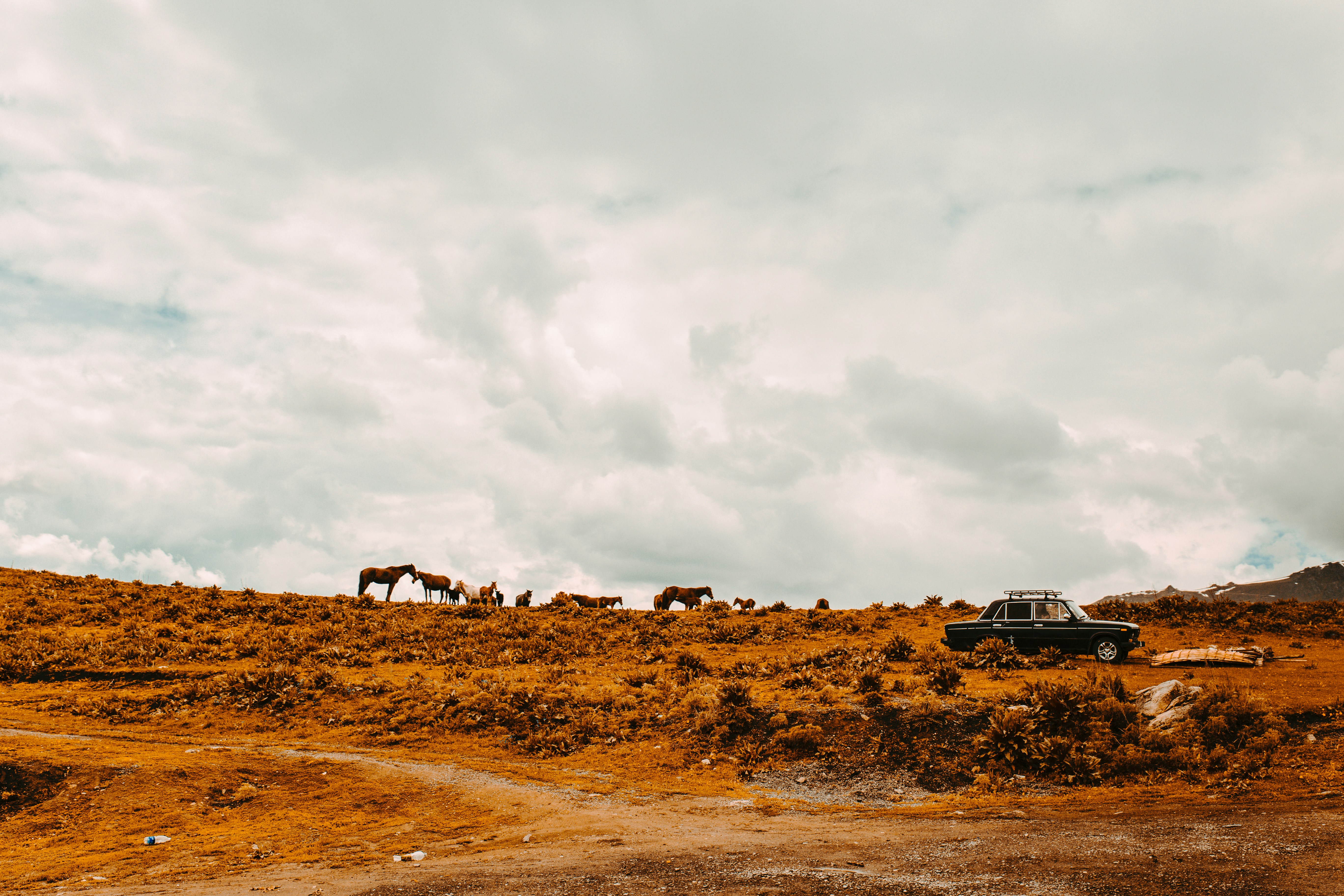 black suv on brown field under white clouds during daytime kyrgyzstan zoom background