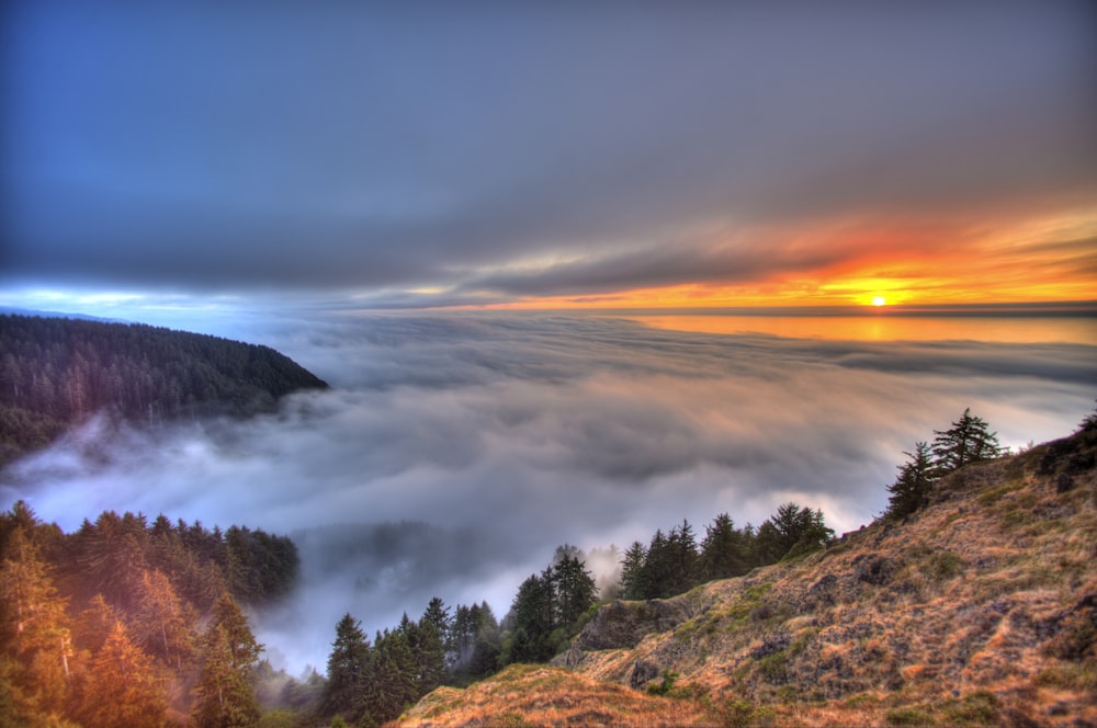 green trees on mountain under cloudy sky during daytime