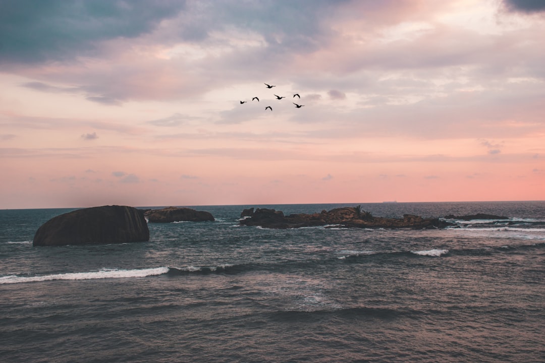 Beach photo spot Fort Galle