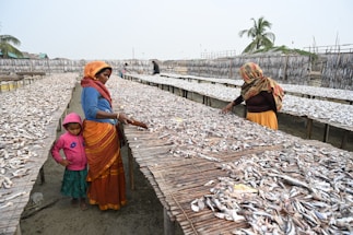 Women are engaged in the process of drying fish on large woven bamboo racks set out in the open air. The surroundings suggest a rural setting with scattered palm trees and basic structures in the background. A child in colorful clothing stands beside one of the women.