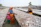 Women are engaged in the process of drying fish on large woven bamboo racks set out in the open air. The surroundings suggest a rural setting with scattered palm trees and basic structures in the background. A child in colorful clothing stands beside one of the women.