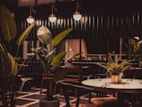 A dimly lit restaurant interior featuring large leafy plants and a wooden table set for dining. The ambiance is warm with copper pendant lights hanging above, casting a soft glow. Dark walls and flooring contribute to a cozy, intimate atmosphere.