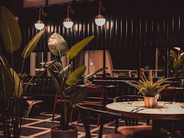 A dimly lit restaurant interior featuring large leafy plants and a wooden table set for dining. The ambiance is warm with copper pendant lights hanging above, casting a soft glow. Dark walls and flooring contribute to a cozy, intimate atmosphere.
