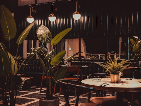 A softly lit restaurant interior with wooden tables, green plants, and a chef plating a dish.