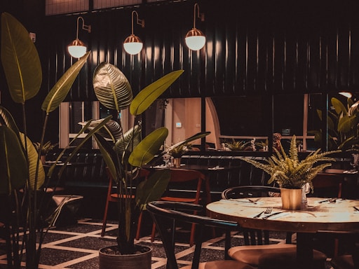 A cozy restaurant setting with plants and warm lighting.