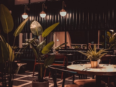 A dimly lit restaurant interior featuring large leafy plants and a wooden table set for dining. The ambiance is warm with copper pendant lights hanging above, casting a soft glow. Dark walls and flooring contribute to a cozy, intimate atmosphere.