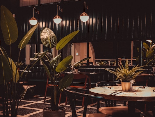 A dimly lit restaurant interior featuring large leafy plants and a wooden table set for dining. The ambiance is warm with copper pendant lights hanging above, casting a soft glow. Dark walls and flooring contribute to a cozy, intimate atmosphere.