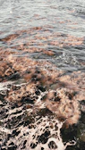 Ocean waves with floating sensors monitoring water health.