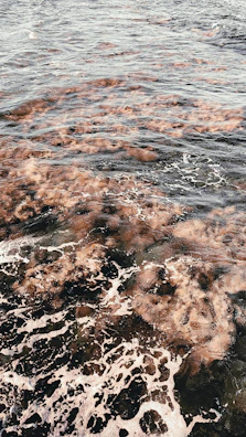 Ocean waves with floating sensors monitoring water health.