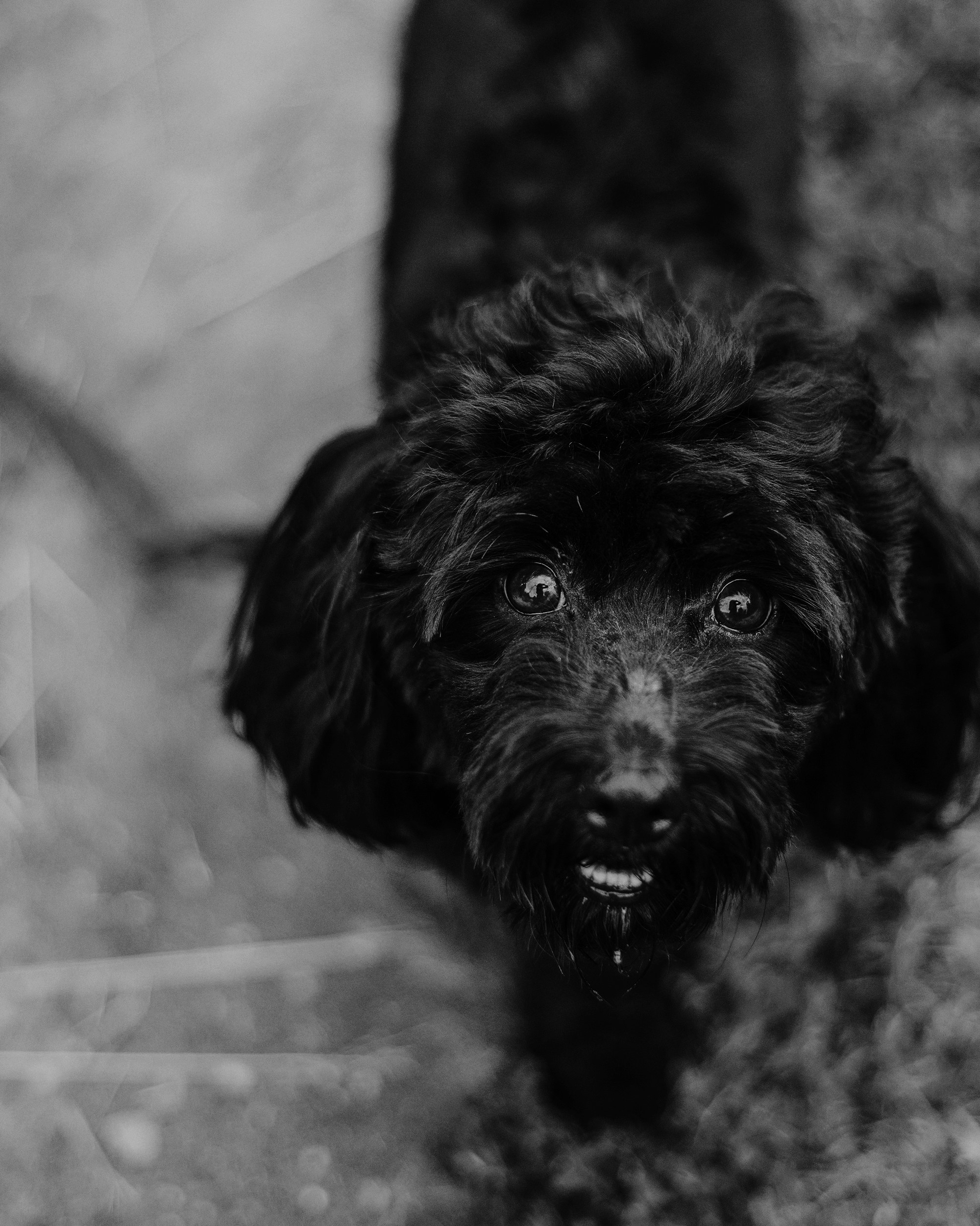 Photo by dariabesedina