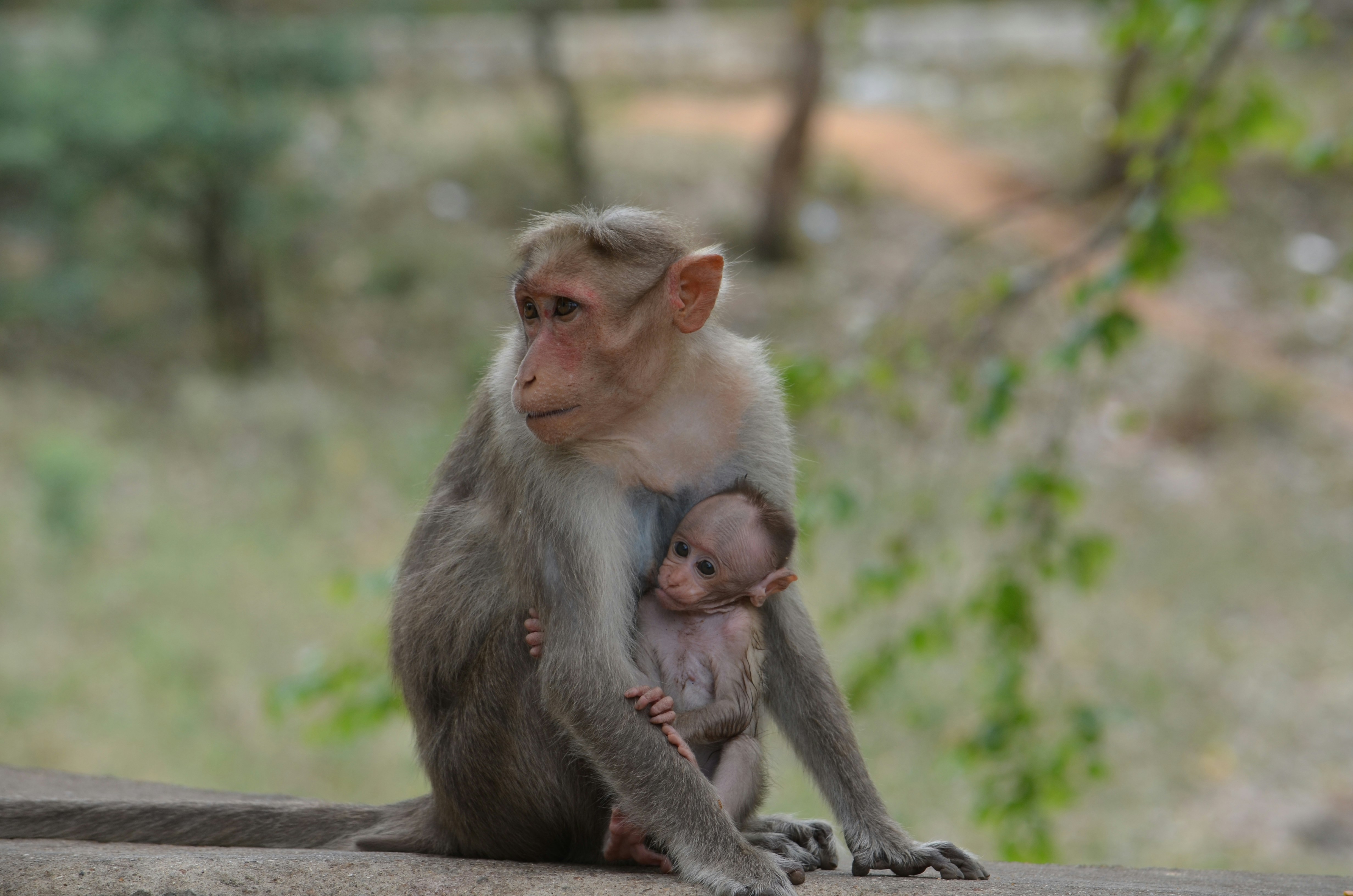 Photo by binusheetal