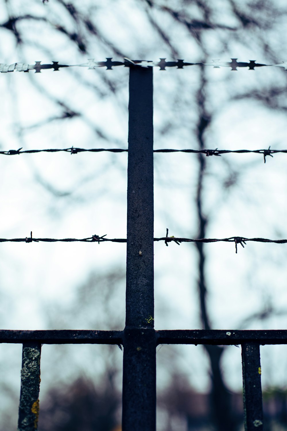 black metal wire fence during daytime