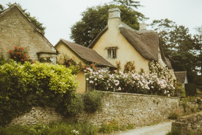 brown and white concrete house surrounded by green plants and trees during daytime cottage teams background