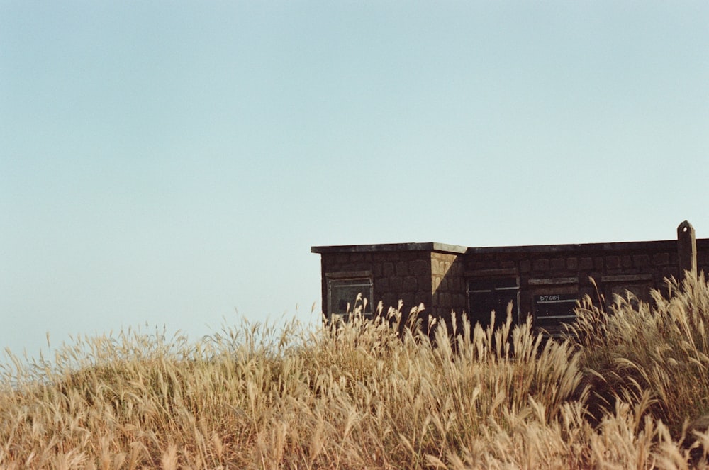 brown wooden house on brown grass field under blue sky during daytime