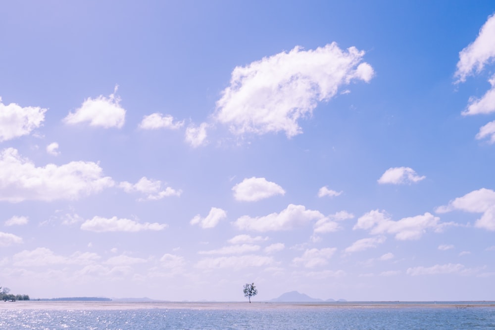 Persona in piedi sulla spiaggia sotto il cielo blu e le nuvole bianche durante il giorno