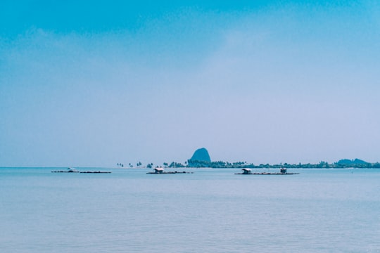 people on beach during daytime in Ko Yao Noi Ko Yao District Thailand