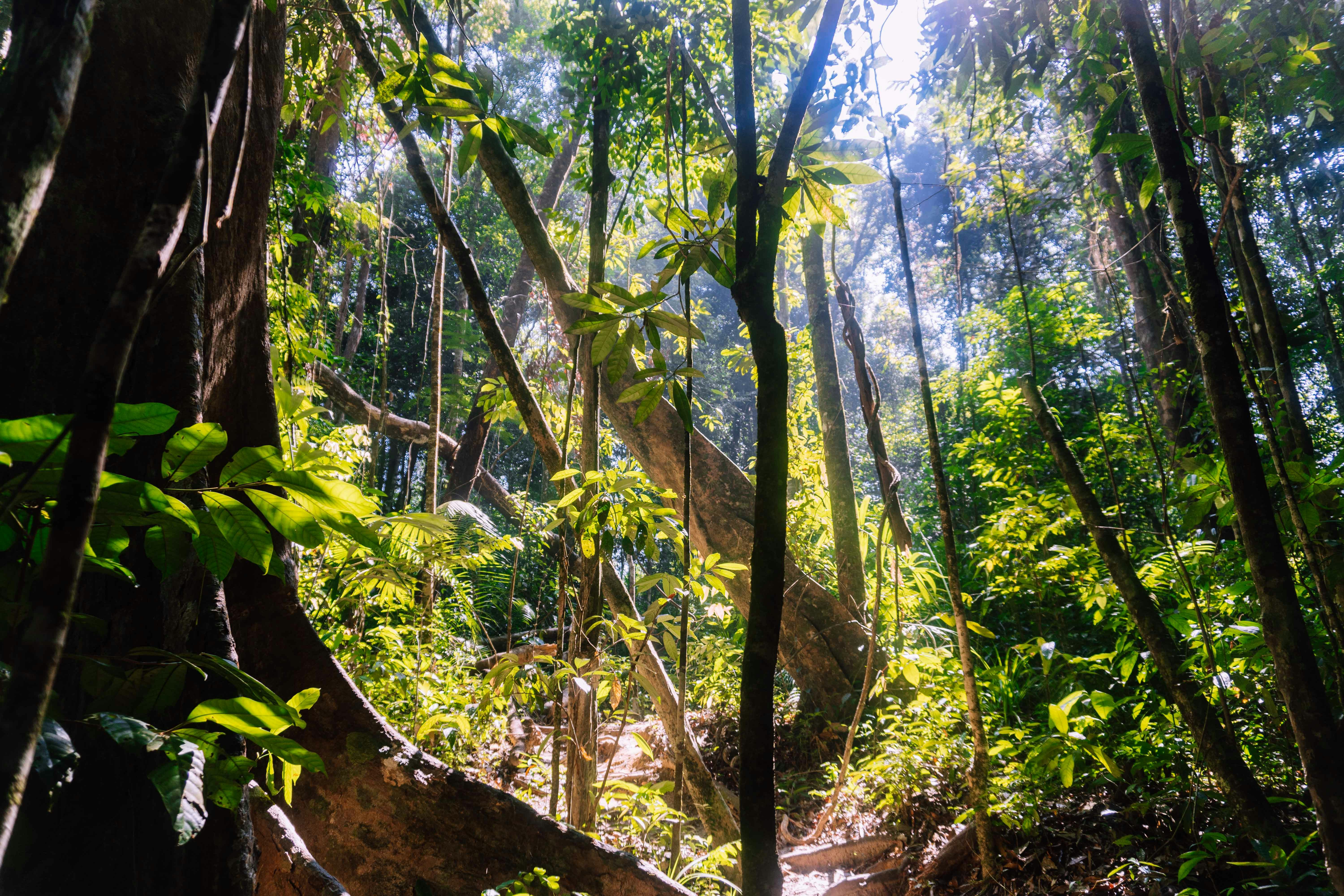 Photo by nngvandenberg