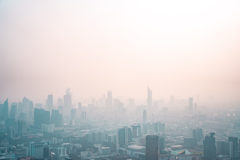 city skyline under white sky during daytime