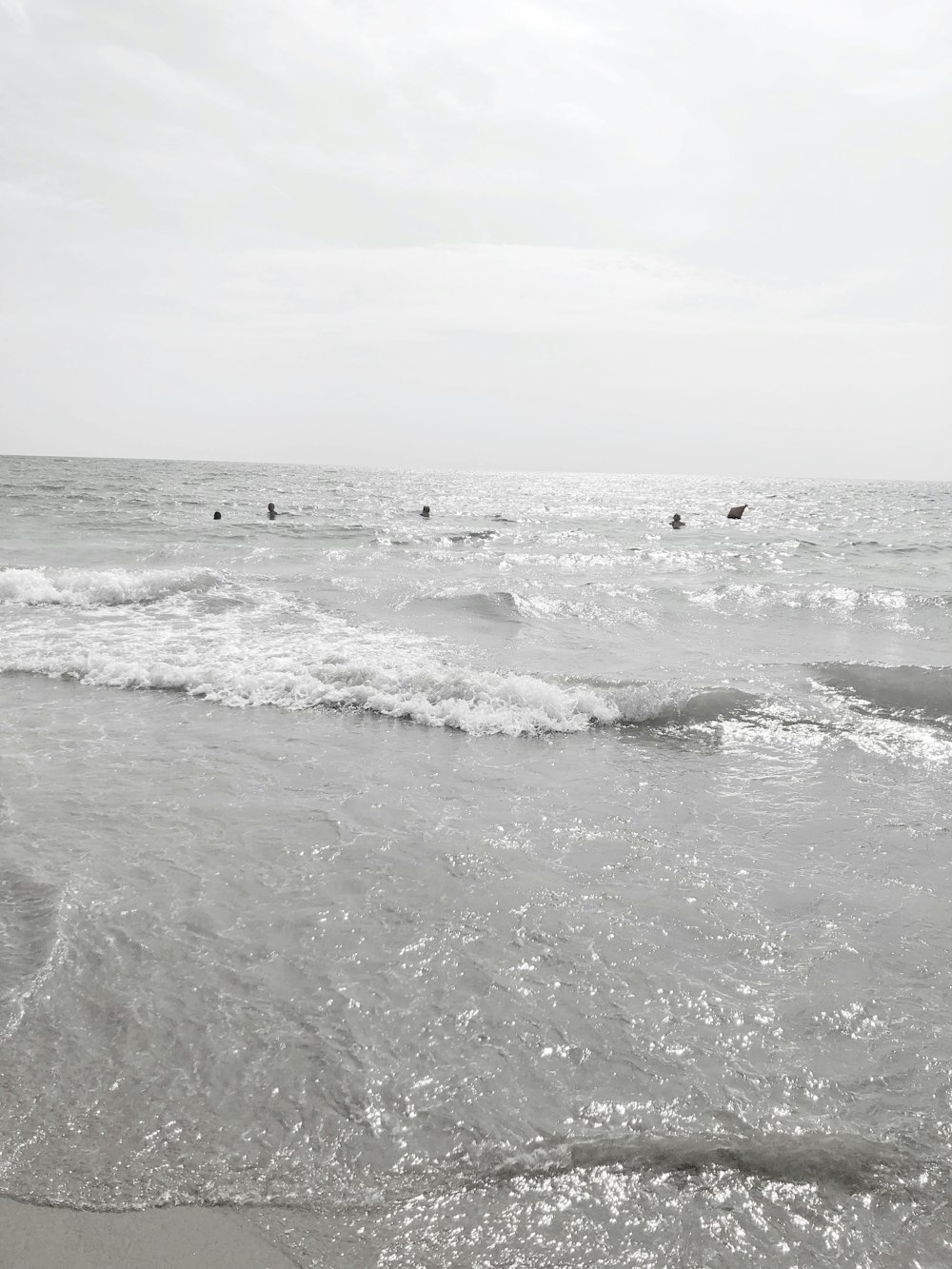 Les vagues de l’océan s’écrasent sur le rivage pendant la journée