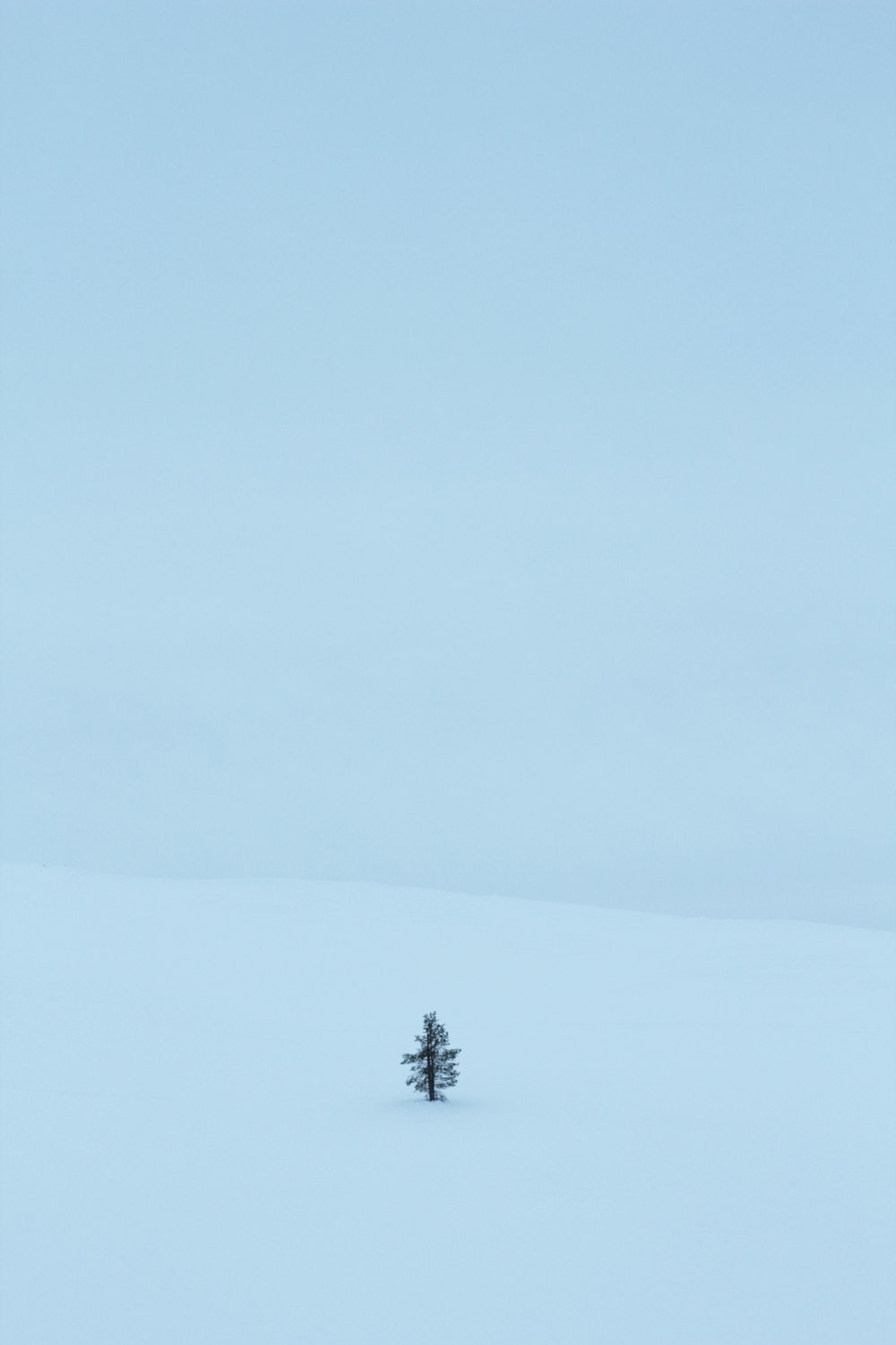 昼間の雪山