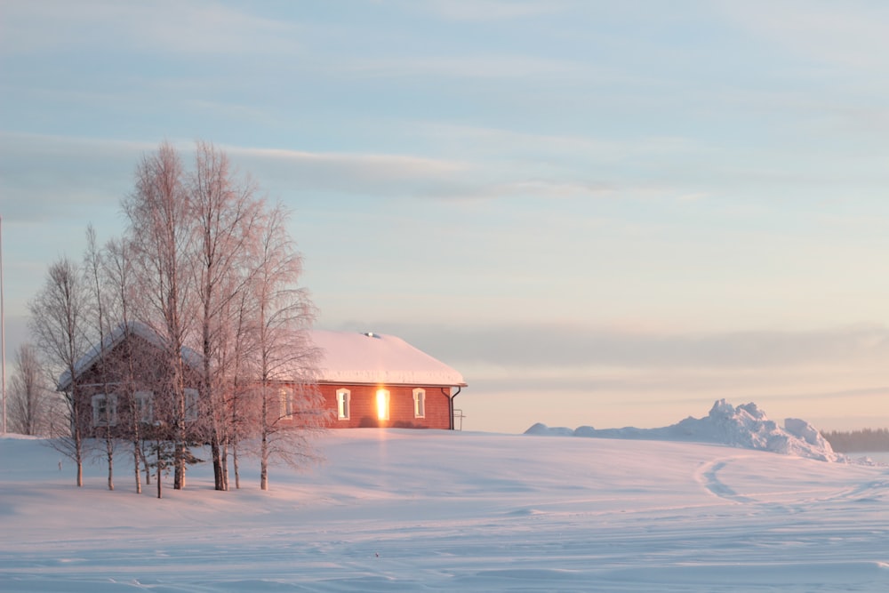 maison en bois marron sur un sol enneigé pendant la journée