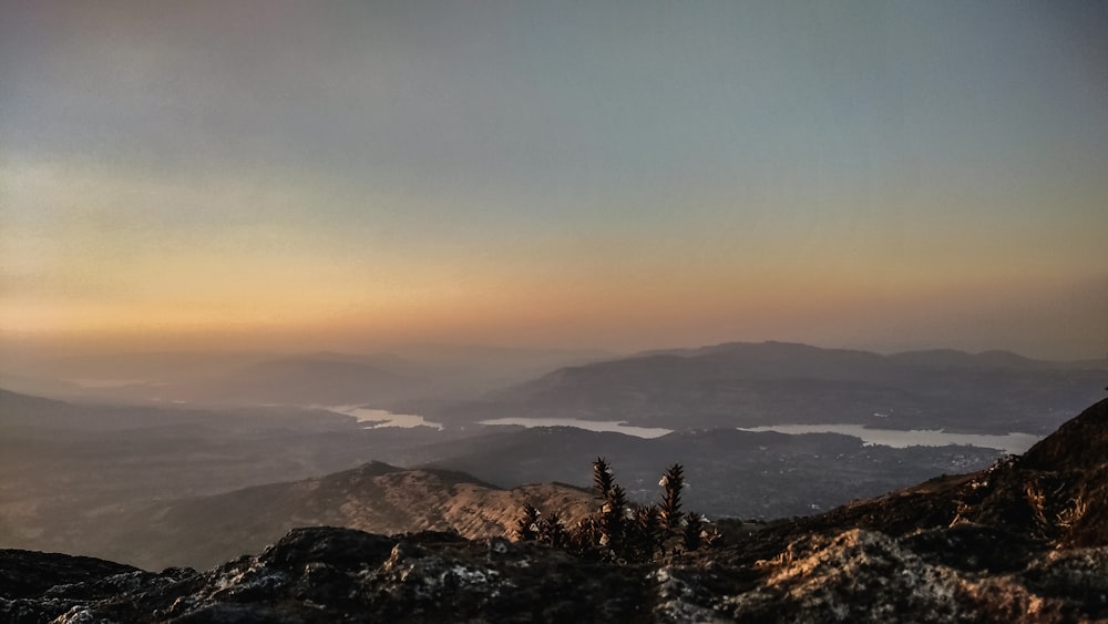 árvores verdes na montanha durante o dia