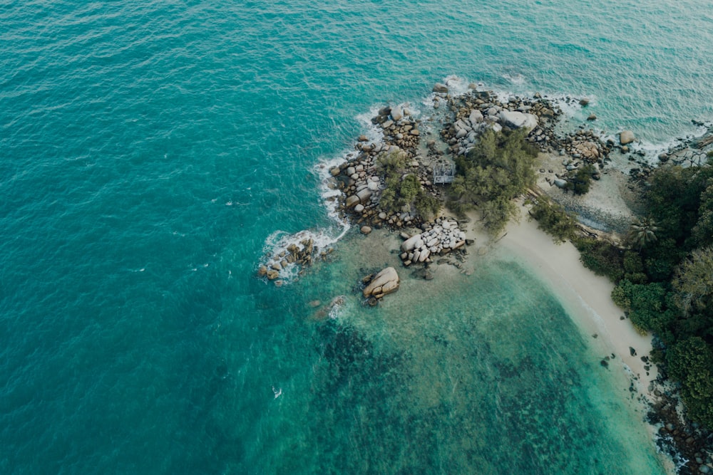 Luftaufnahme von grünen Bäumen auf der Insel während des Tages